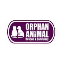 orphan-animal orphan-animal