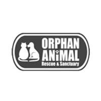 Orphan Animal